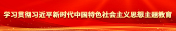 黄色日逼。学习贯彻习近平新时代中国特色社会主义思想主题教育